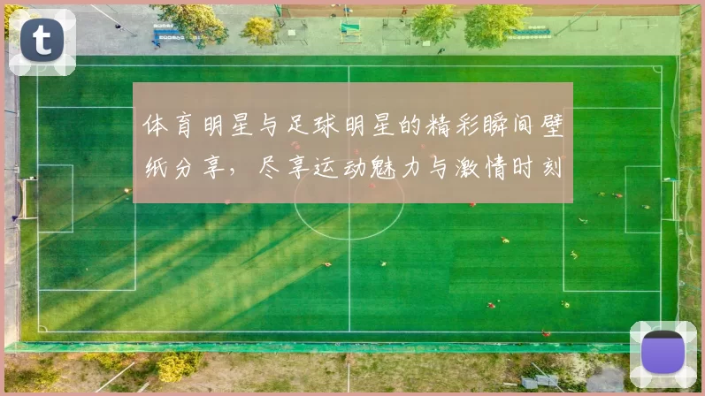 体育明星与足球明星的精彩瞬间壁纸分享，尽享运动魅力与激情时刻