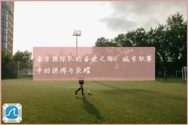 南京排球队的奋进之路：城市联赛中的拼搏与荣耀