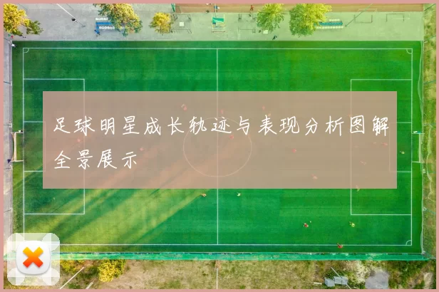 足球明星成长轨迹与表现分析图解全景展示