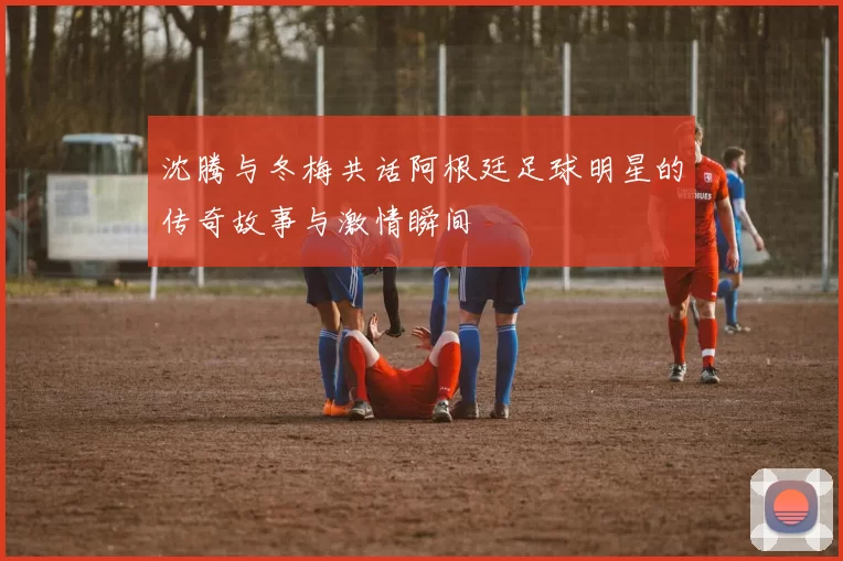 沈腾与冬梅共话阿根廷足球明星的传奇故事与激情瞬间