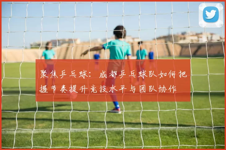 聚焦乒乓球：成都乒乓球队如何把握节奏提升竞技水平与团队协作